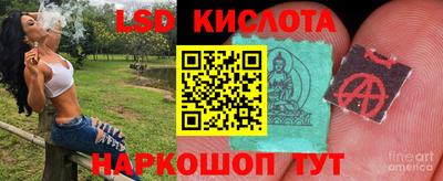 молекула духа Бердск