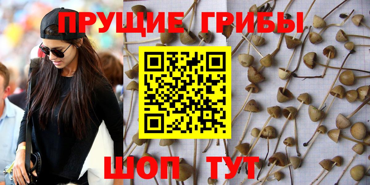 Геленджик  Псилоцибиновые грибы мухоморы  Вход с VPN 