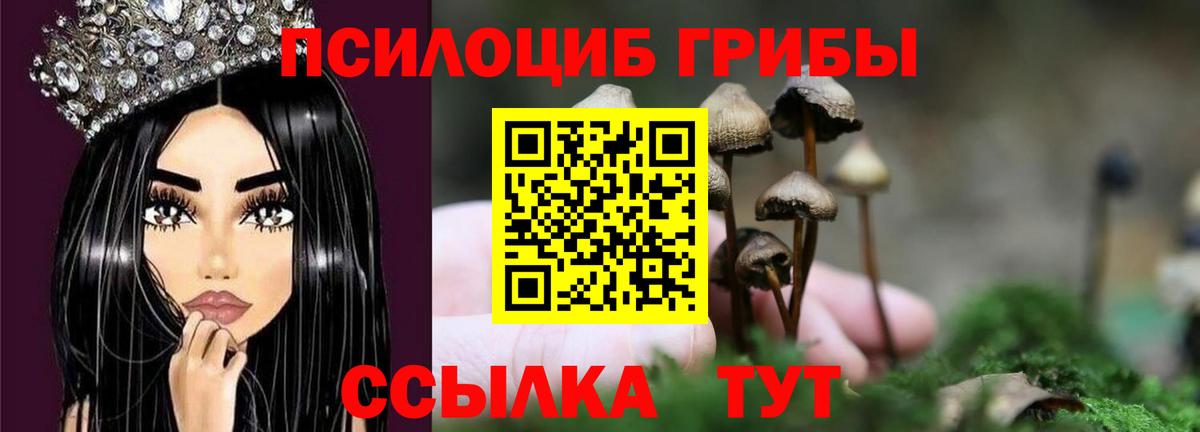 Псилоцибиновые грибы Psilocybine cubensis Геленджик
